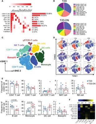 Depiction of immune heterogeneity of peripheral blood from patients with type II diabetic nephropathy based on mass cytometry